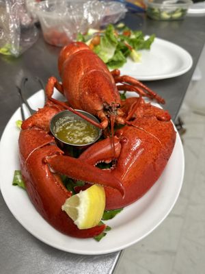 Daily Catch Restaurant by null