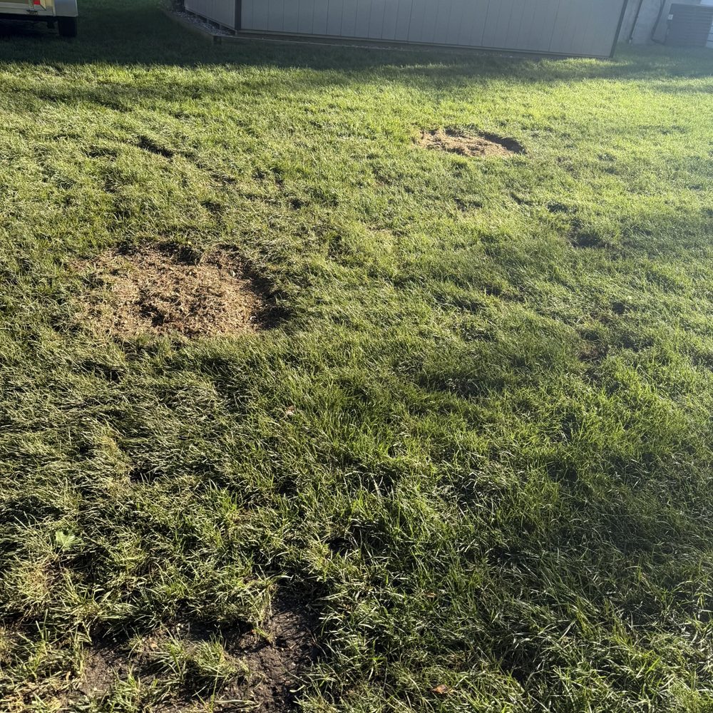 Smart Tree Service - Tree Services Near Me - Lindenwold, New Jersey Smart Tree Service - Tree Services Near Me - Lindenwold, New Jersey