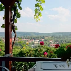 Flair Hotel Villa Ilske - Ausblick von der Weinterrasse