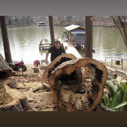 La Tree Service - Just another day