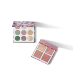 Merle Norman Cosmetics Studio