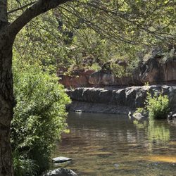 Grasshopper Point Swimming & Picnic Area