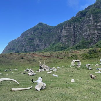 Kualoa Ranch - Tours Near Me - Kaneohe, Hawaii