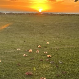 Sunset from Kalama Park, as seen on the Maui Walking tour. Sunset from Kalama Park, as seen on the Maui Walking tour.