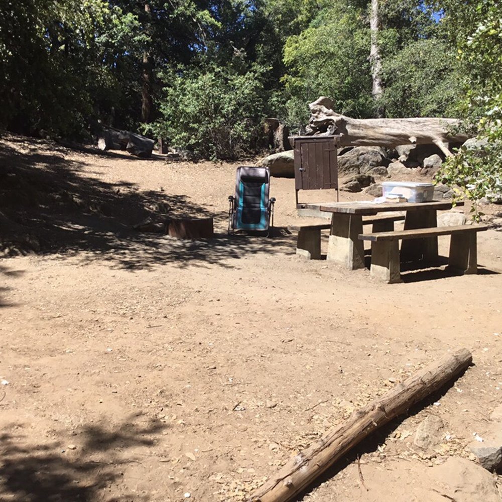 Palomar Mountain State Park - Doane valley campground site 16 - Parks Near Me - Palomar Mountain, California Palomar Mountain State Park - Doane valley campground site 16 - Parks Near Me - Palomar Mountain, California