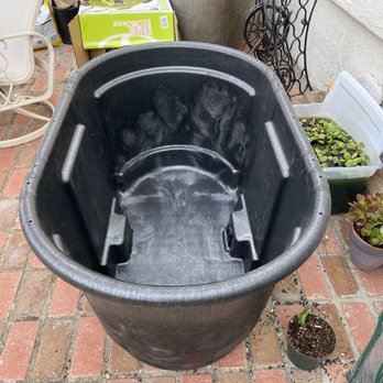 Aquatic Warehouse - 100 gal Rubbermaid trough - Aquarium Services Near Me - San Diego, California Aquatic Warehouse - 100 gal Rubbermaid trough - Aquarium Services Near Me - San Diego, California