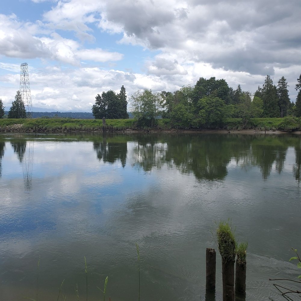 Lowell Riverfront Park - River view - Parks Near Me - Everett, Washington Lowell Riverfront Park - River view - Parks Near Me - Everett, Washington