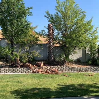 Urban Tree Care - In progress. - Tree Services Near Me Urban Tree Care - In progress. - Tree Services Near Me