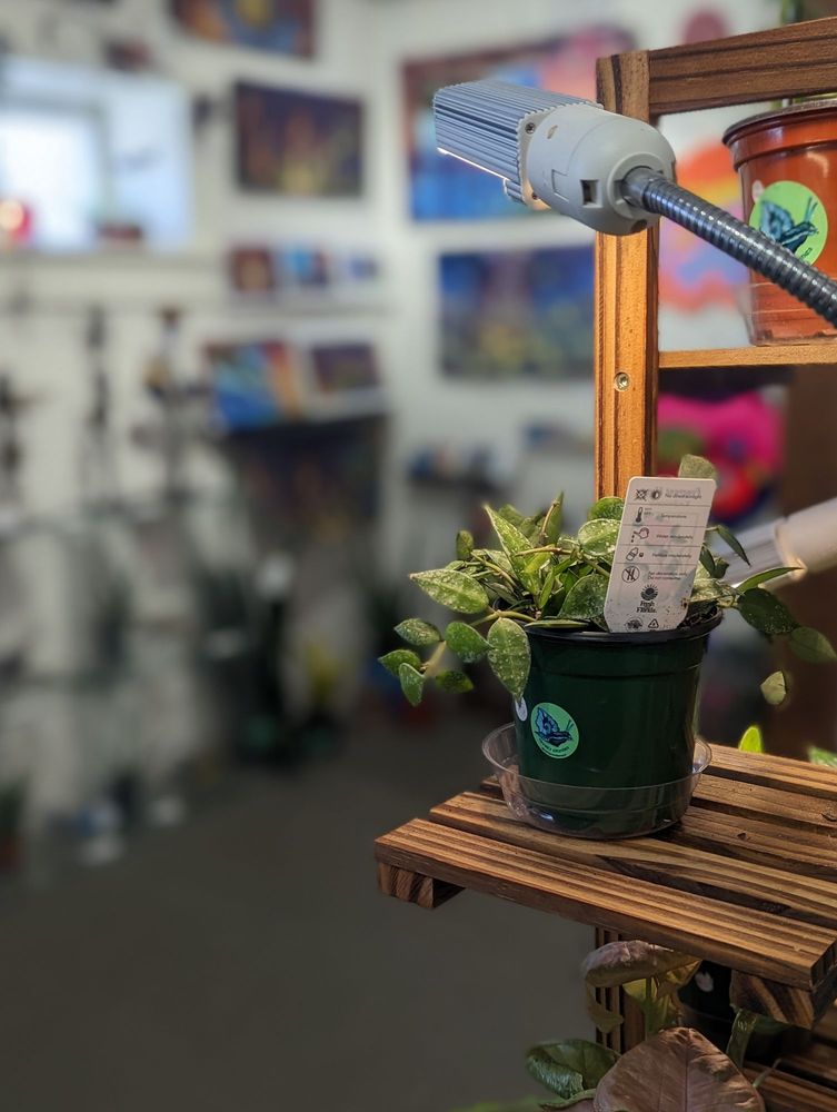 Art Garden AVL - social services organization in Asheville, NC