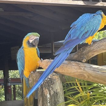 Gatorland - Zoos Near Me - Orlando, Florida