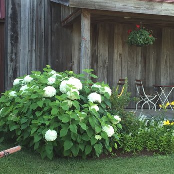 Yankee Surplus - a hydrant in front of a barn - Men's Clothing Near Me - Rutland, Vermont