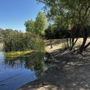 Dos Picos County Park - Pond near the youth area. Saw some ppl fishing and kids catching frogs. - Parks Near Me - Ramona, California