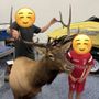 Photo of Cedar River Taxidermy