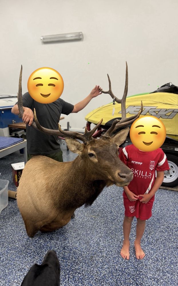 Cedar River Taxidermy - taxidermy in Enumclaw, WA