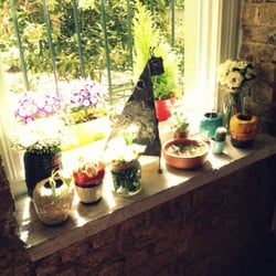 Humanbeings Concept and  Flowershop