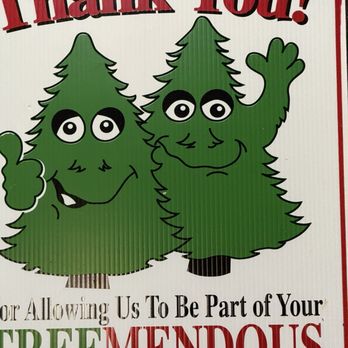 Blue Ridge Tree Farm - Christmas Trees Near Me - Fort Lauderdale, Florida Blue Ridge Tree Farm - Christmas Trees Near Me - Fort Lauderdale, Florida