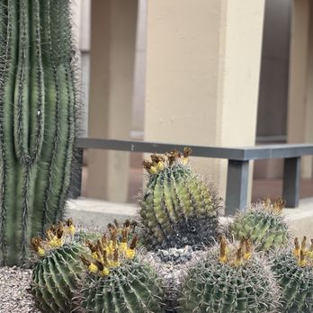 Downtown Tucson - Local Flavor Near Me - Tucson, Arizona Downtown Tucson - Local Flavor Near Me - Tucson, Arizona