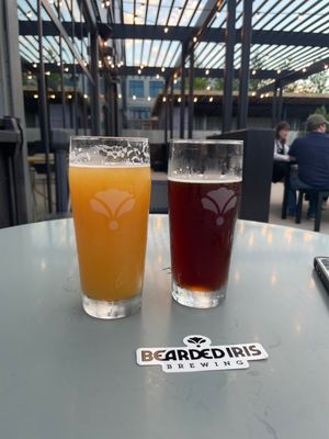 Bearded Iris - Sylvan Supply by null