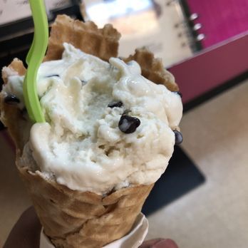 The Magic Cow - Vanilla Ice Cream with Chocolate Chips - Ice Cream & Frozen Yogurt Near Me - Davie, Florida The Magic Cow - Vanilla Ice Cream with Chocolate Chips - Ice Cream & Frozen Yogurt Near Me - Davie, Florida