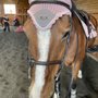 Photo of Dover Saddlery