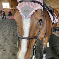 Dover Saddlery
