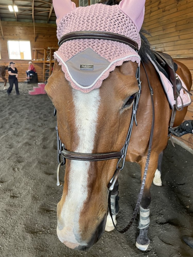 Dover Saddlery