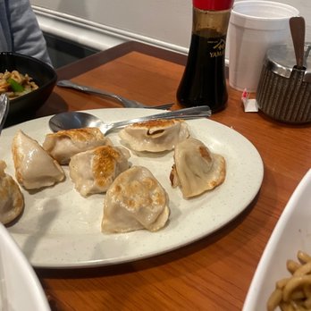 Katy's Dumplings - Dumplings - Mediocre - Chinese Near Me - Westmont, Illinois Katy's Dumplings - Dumplings - Mediocre - Chinese Near Me - Westmont, Illinois