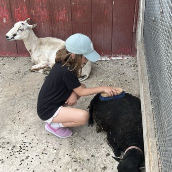 Lambs Farm - Amusement Parks Near Me - Libertyville, Illinois Lambs Farm - Amusement Parks Near Me - Libertyville, Illinois