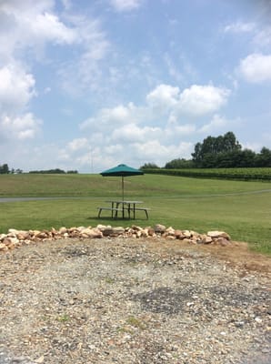 Royal Rabbit Vineyards by null