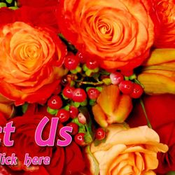 Sweet Stems Flower Shop
