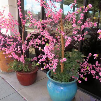Vietopia - Vietnamese Near Me - Houston, Texas