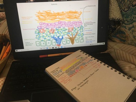 Atelier Esthetique Institute of Esthetics by null