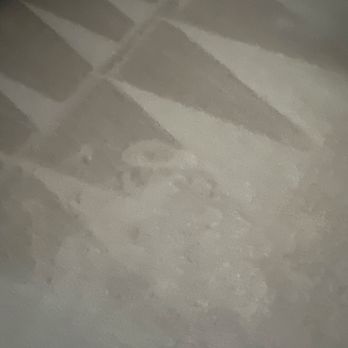 The Dirt Army - Yes...I walked through already....no soggy mess!!! - Carpet Cleaning Near Me - Murrieta, California