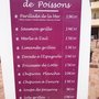 Photo of Le Grand Large