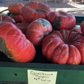 Joan's Farm & Pumpkin Patch - Pumpkin Patches Near Me - Livermore, California