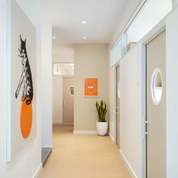 Small Door Veterinary