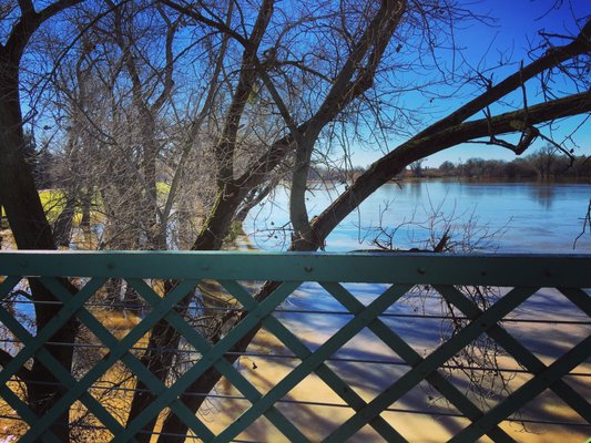 Tiscornia Park by null