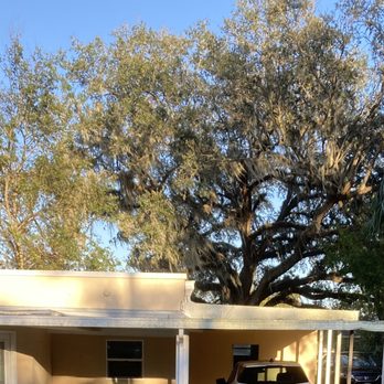 Parish Lawn & Tree - After damage of same view as the Facebook post - Lawn Services Near Me Parish Lawn & Tree - After damage of same view as the Facebook post - Lawn Services Near Me
