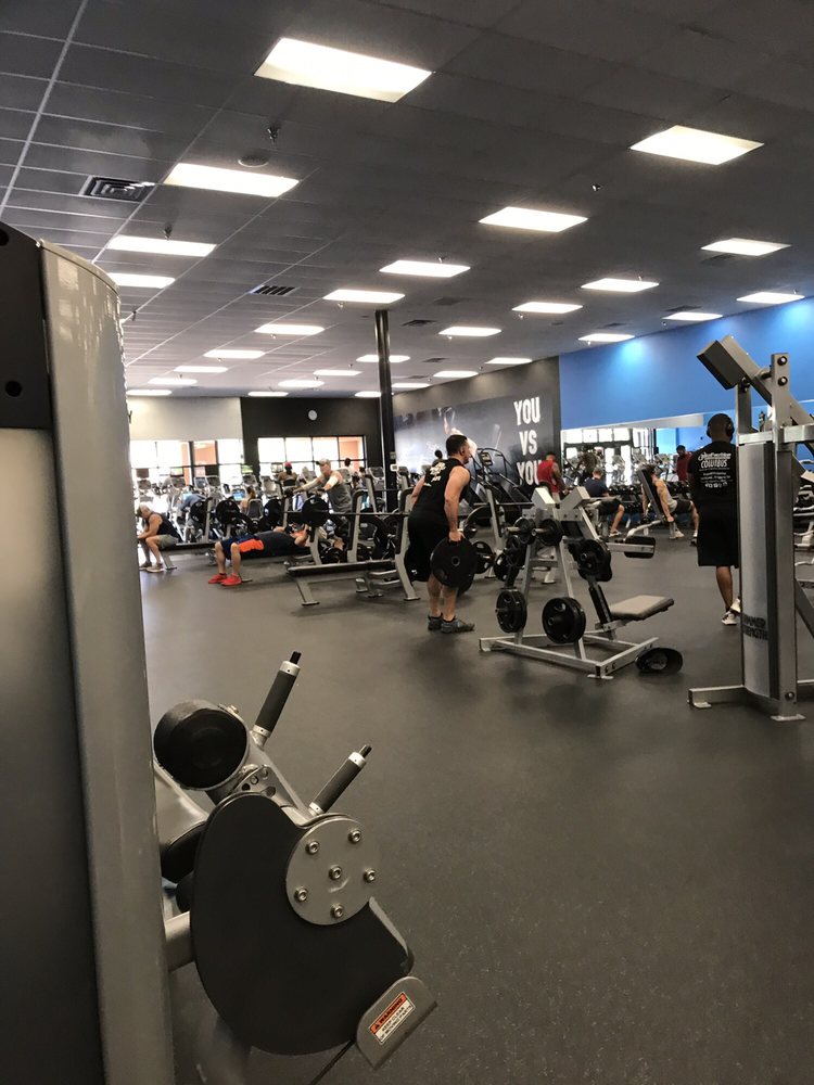 AMPED FITNESS ST PETERSBURG 23 Photos & 52 Reviews 830 3rd Ave S, Saint Petersburg