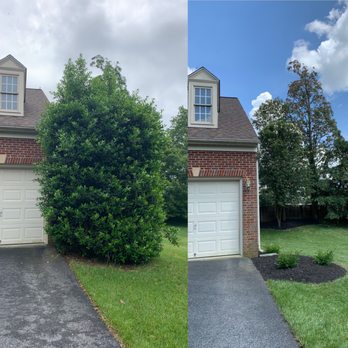 Metallurgy Landscaping - Before/After Landscaping - Landscaping Near Me - Silver Spring, Maryland Metallurgy Landscaping - Before/After Landscaping - Landscaping Near Me - Silver Spring, Maryland