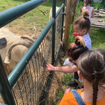 Plumper Farms - Pumpkin Patches Near Me - Portland, Oregon