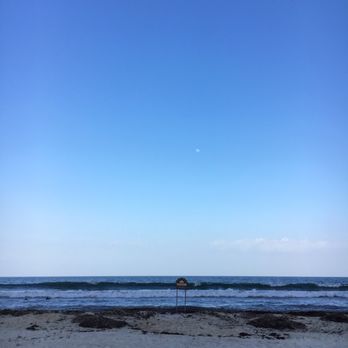 Panama Jacks - Seaweed is covering this entire beach :( - Resorts Near Me - Cancún, ROO