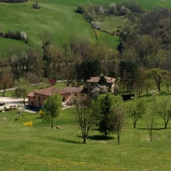 Matia Malagutti