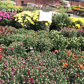 SummerWinds Nursery - Campbell - Nurseries & Gardening Near Me - Campbell, California SummerWinds Nursery - Campbell - Nurseries & Gardening Near Me - Campbell, California