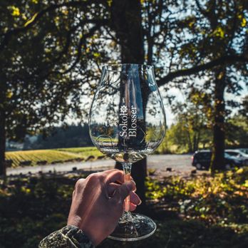 Sokol Blosser Winery - Wine Glass - Wineries Near Me - Dayton, Oregon
