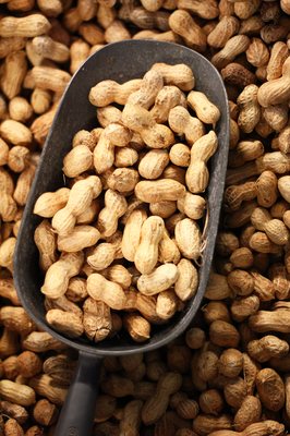 Canino Produce by null