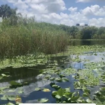 Airboat Rides Melbourne - Boat Tours Near Me - Melbourne, Florida Airboat Rides Melbourne - Boat Tours Near Me - Melbourne, Florida