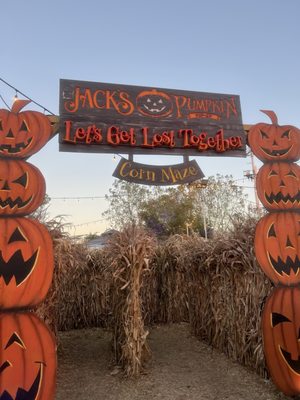 Jack's Pumpkin Pop-up by null
