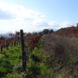 Erboristeria dell'Eremo - Un'altro pezzetto di terre