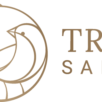 True Salon - Our new logo - Hair Salons Near Me - Sherwood, Oregon True Salon - Our new logo - Hair Salons Near Me - Sherwood, Oregon